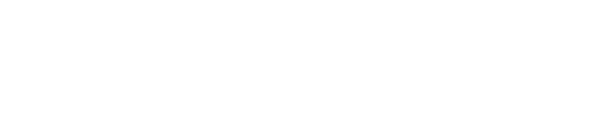 Multiplayer Robot
